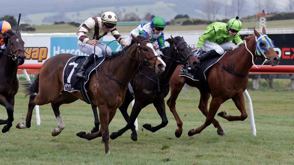 Debutant impresses in smart company at Taupo