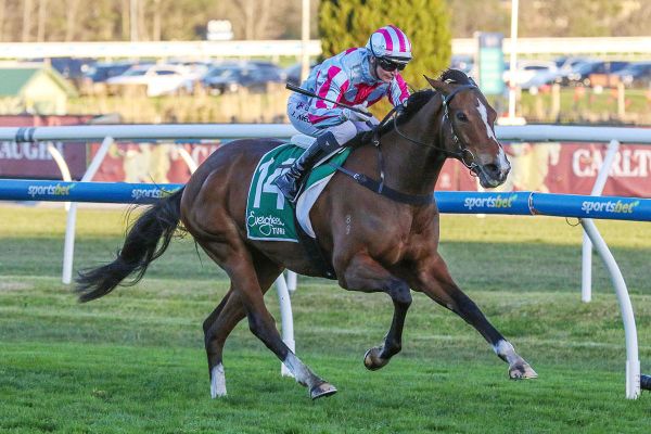 Fancify leads all the way at Caulfield