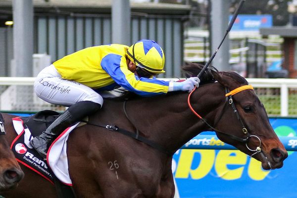 Another Caulfield triumph for First Chorus