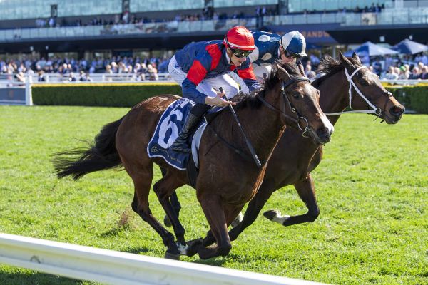 Foire De Trone digs deep in Randwick victory