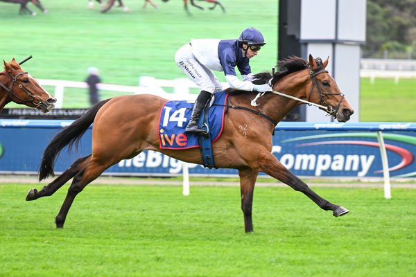 Chariot charges to Sandown triumph