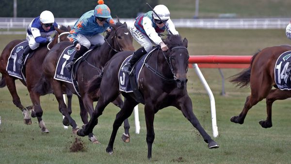 Hawea stunning in fillies’ feature