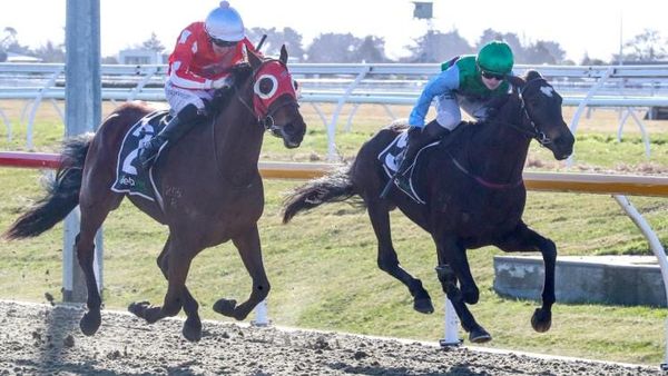 Star Ballot shines at Riccarton