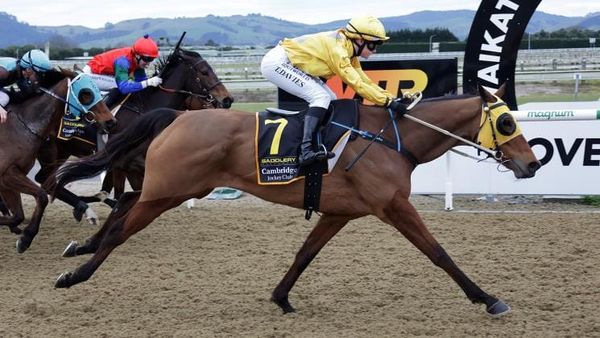 CD raider claims Cambridge spoils