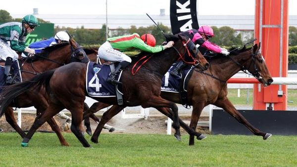 Brosnan scores quickfire double at Te Rapa