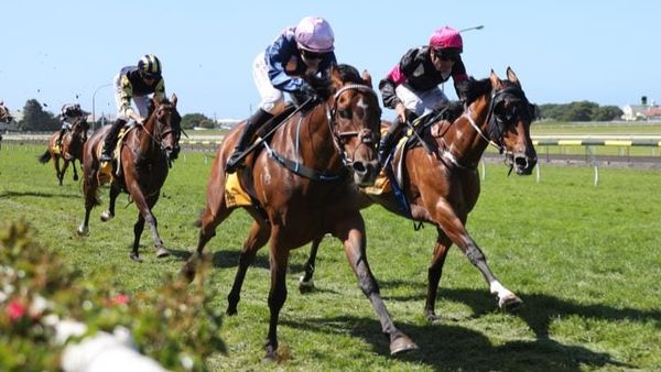 Southern sojourn to continue for Wire Rope