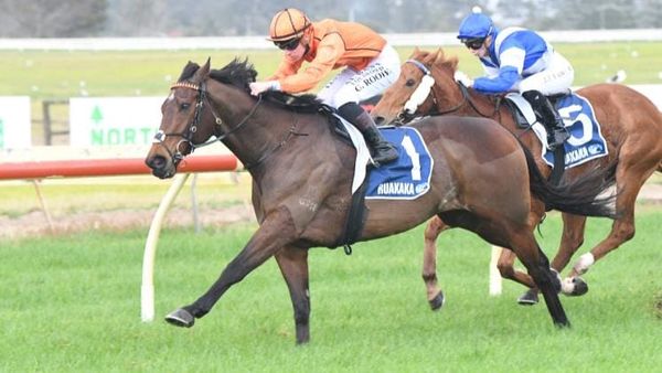 Nicconi County shooting for four straight