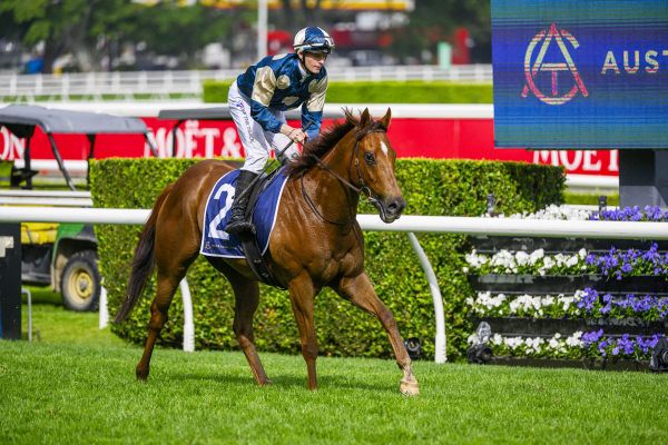 Jimmy one of many stars at Warwick Farm