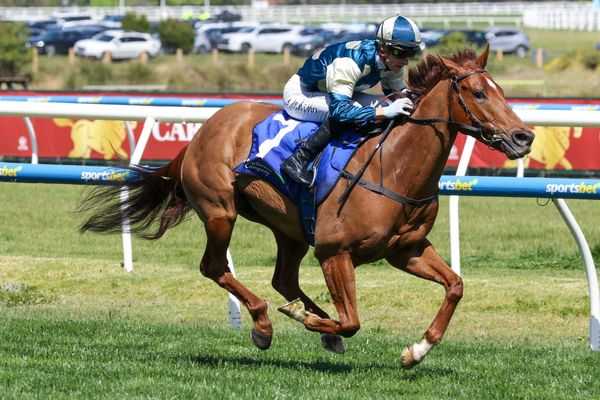 ‘Jimmy’ out to be a Memsie star