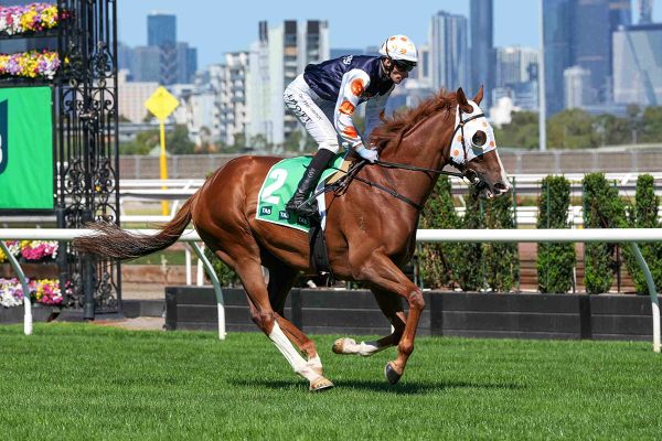 Bedggood eyes further Kiwi spoils