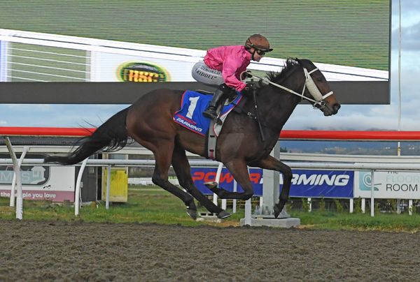 Kereti lands another big cheque following polytrack triumph