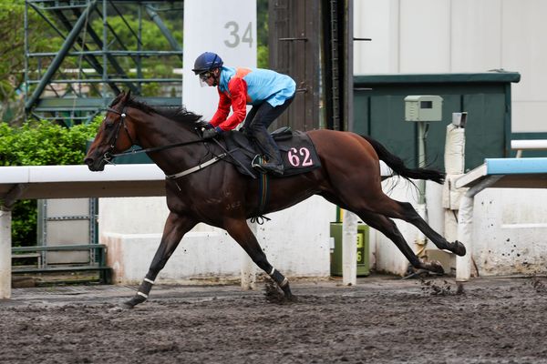 Ka Ying Rising dazzles ahead of return, Fast Network prepares for Japan campaign