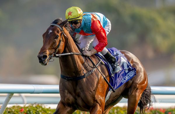 David Hayes reveals plans for superstar sprinter Ka Ying Rising