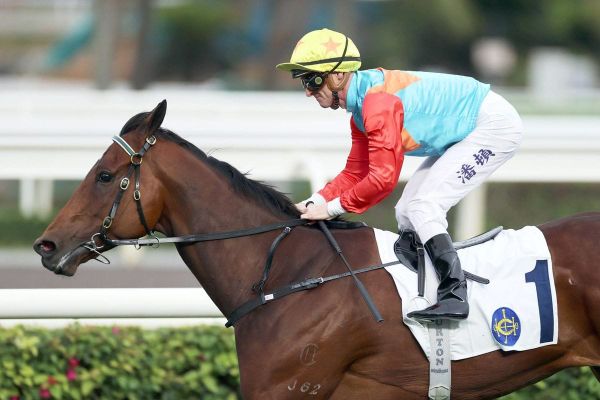 Ka Ying Rising Completes Sha Tin Trial Ahead of Chief Executive’s Cup