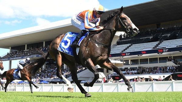Michael Moroney new target for Lara Antipova