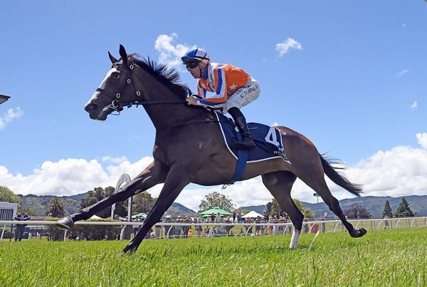 Weighty Caulfield test for Lara Antipova