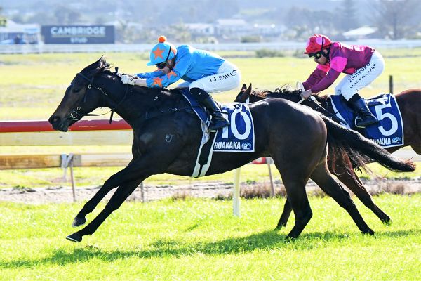 Regally-bred filly hunting black-type