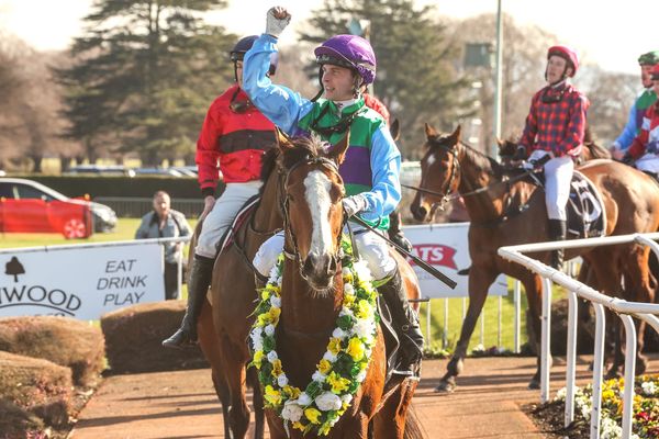 Little Thief pilfers Grand National Hurdles for jumps legend