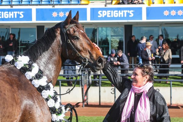 Lord Spencer all class in competitive Koral