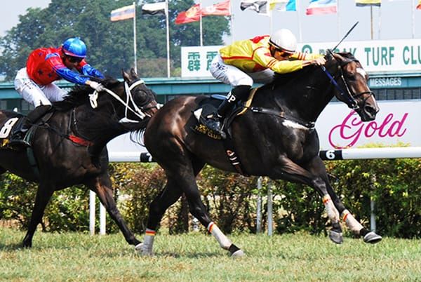 Lucky Magic casts his spell in Gold Vase