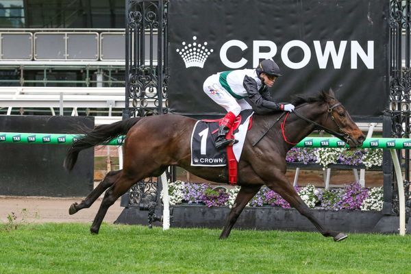 Flemington jump-out in store for Mr B