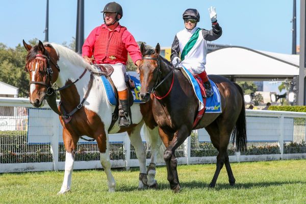 Mr Brightside has first jumpout