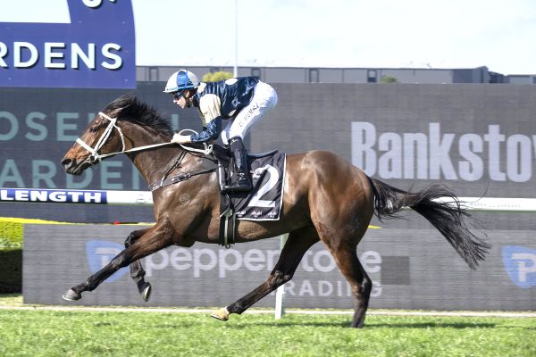 Mr Miller takes next step towards Group One goal