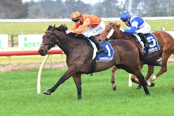 Nicconi County shooting for four straight