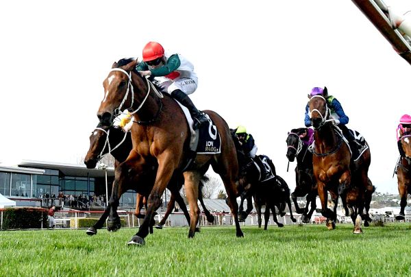 The Oaks broodmare makes early stakes mark