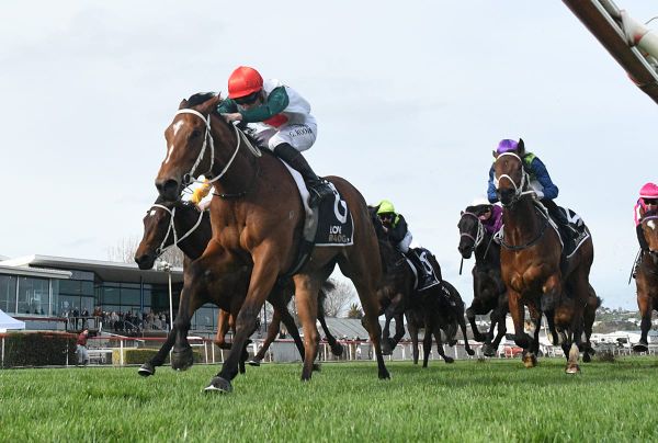 Perfect result for Marsh at Wanganui