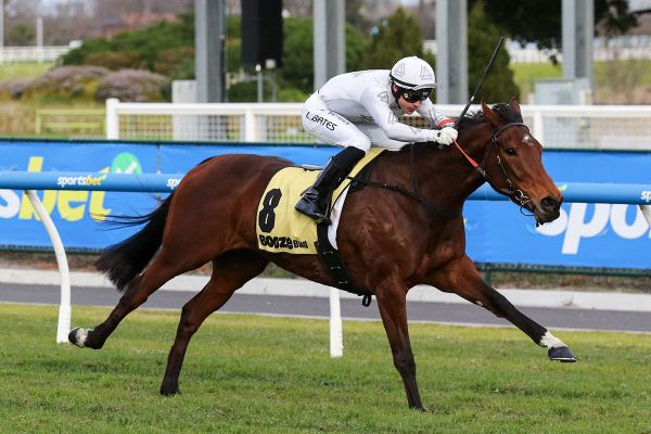 Burke's 'project pony' taking Perfect shape