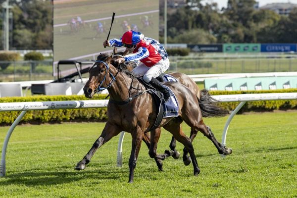 Up And Coming a target for race-fit Wonder