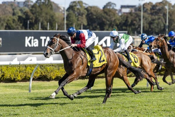 Phantom Major Breaks Through in Style at Canterbury