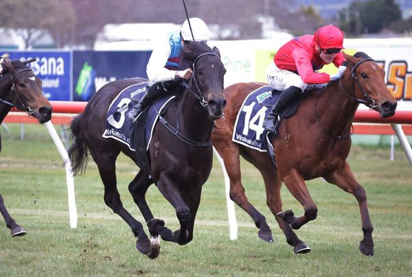Phillyjean eye-catching in stakes defeat