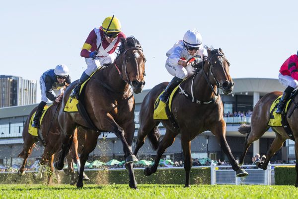 Prima Bella lands Toy Show Quality