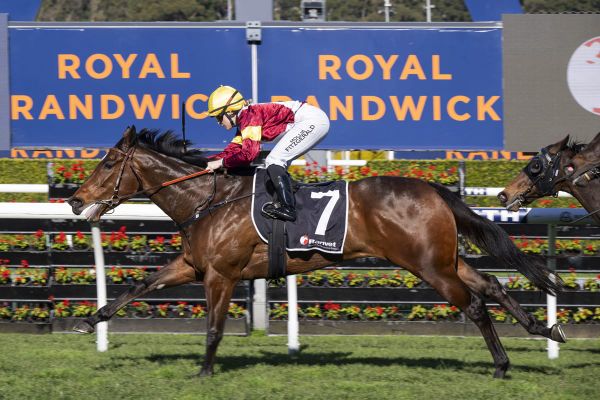 Prima Bella bound for stakes company