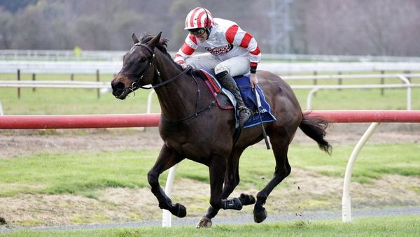 Stable chasing flat and hurdle features