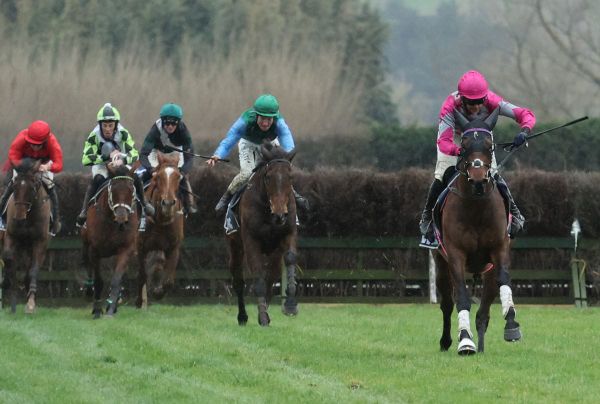 Te Aroha feature on the cards for Saint Bernard