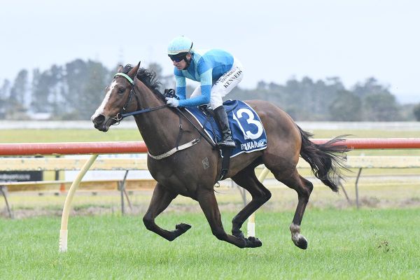 Weanling buy an inspired purchase