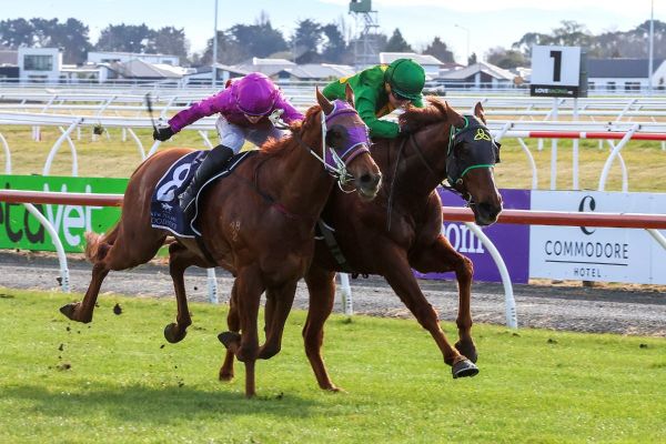 Shawshank gets redemption at Riccarton