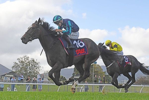 She’s A Dealer on target for Proisir return