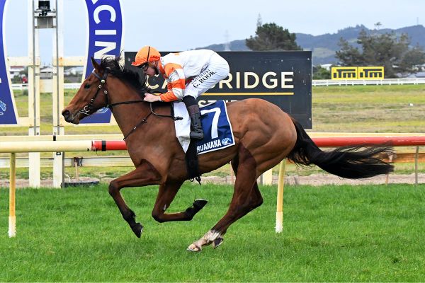 Hometown feature looms for She’s No Saint