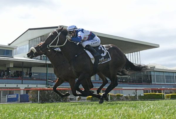 Marsh hunting further Guineas honours