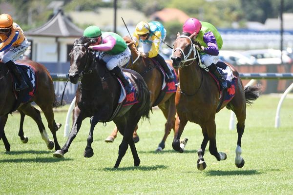 Singletary chasing turnaround in Guineas