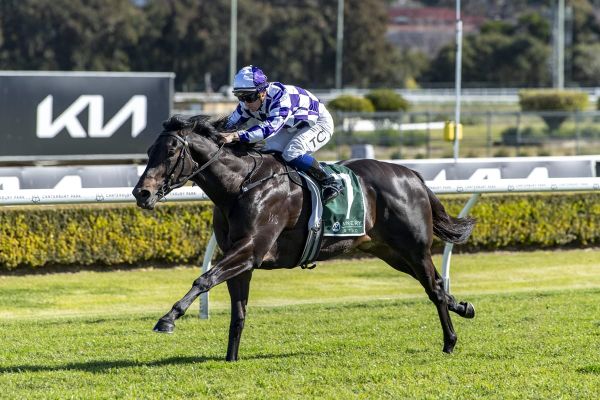 Clark Predicts Bright Future For Emerging Savagram