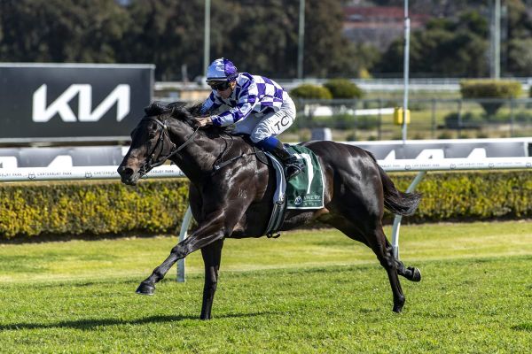 Group goals beckon for well-related Savagram