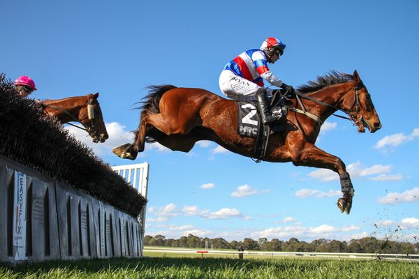 Sing For Peace wins Crisp in thriller