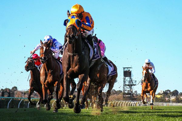 Stage ‘N’ Screen stars at Flemington
