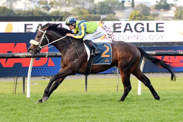 Marsh stablemates in zone for Foxbridge