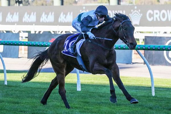 Touchdown too good at Flemington
